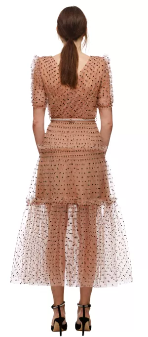 Dot Mesh Midi Dress