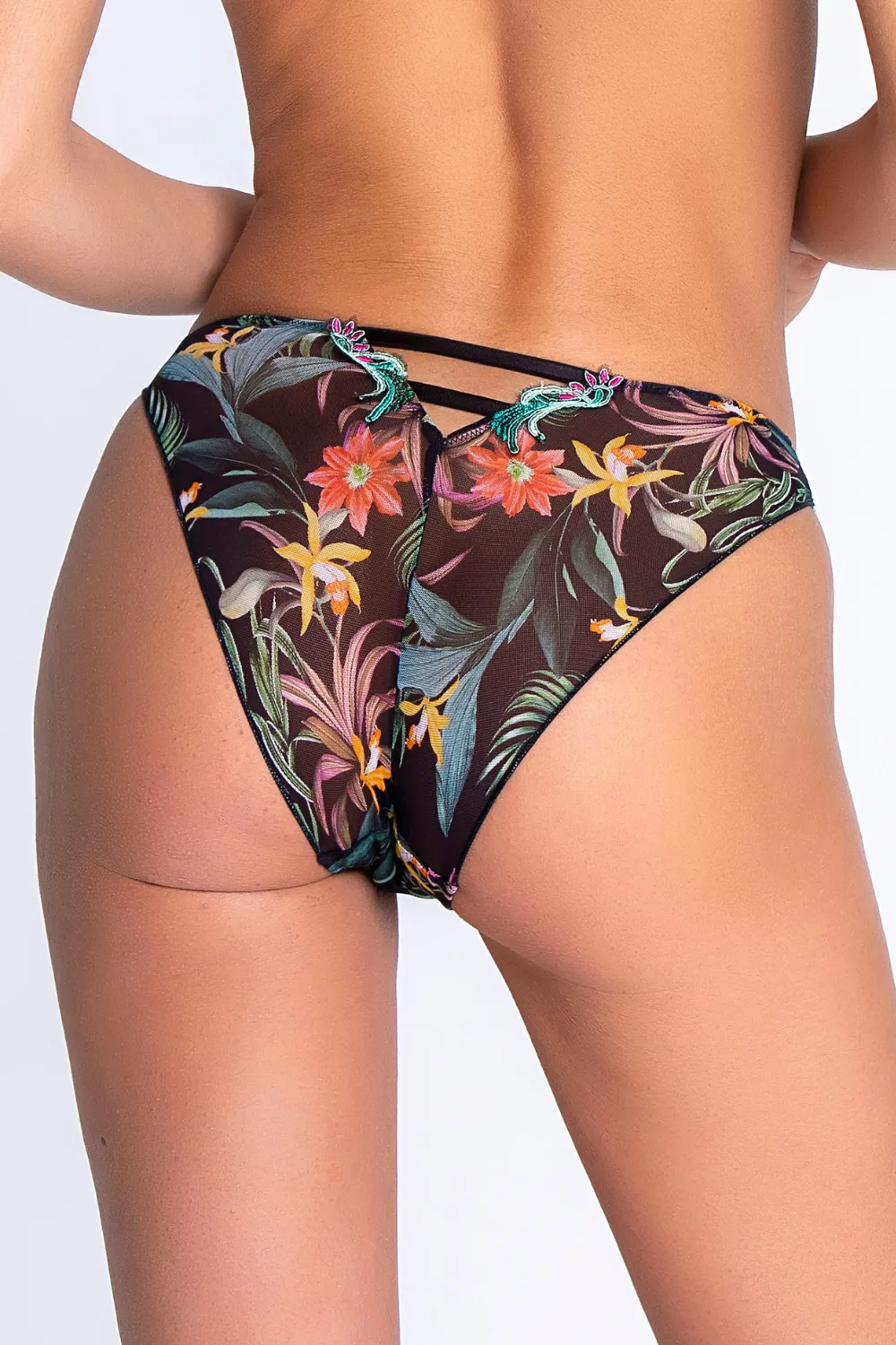 Fleurs Etoiles Italian Brief