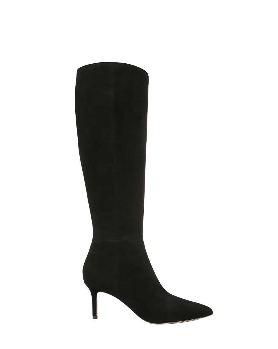 Lisa Suede Mid-Heel Tall Boot