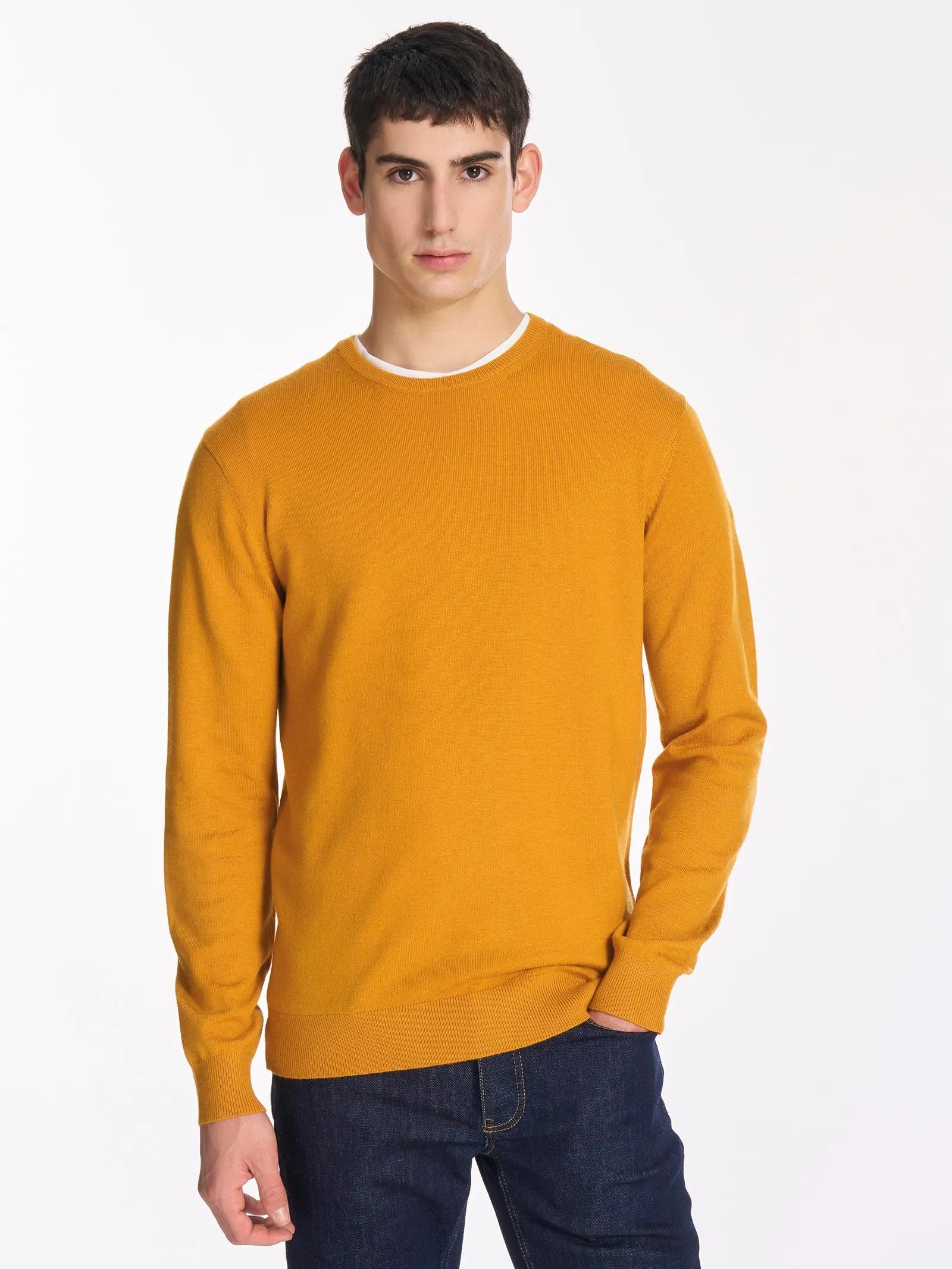 Pull girocollo in filato Sport Wool - Fern