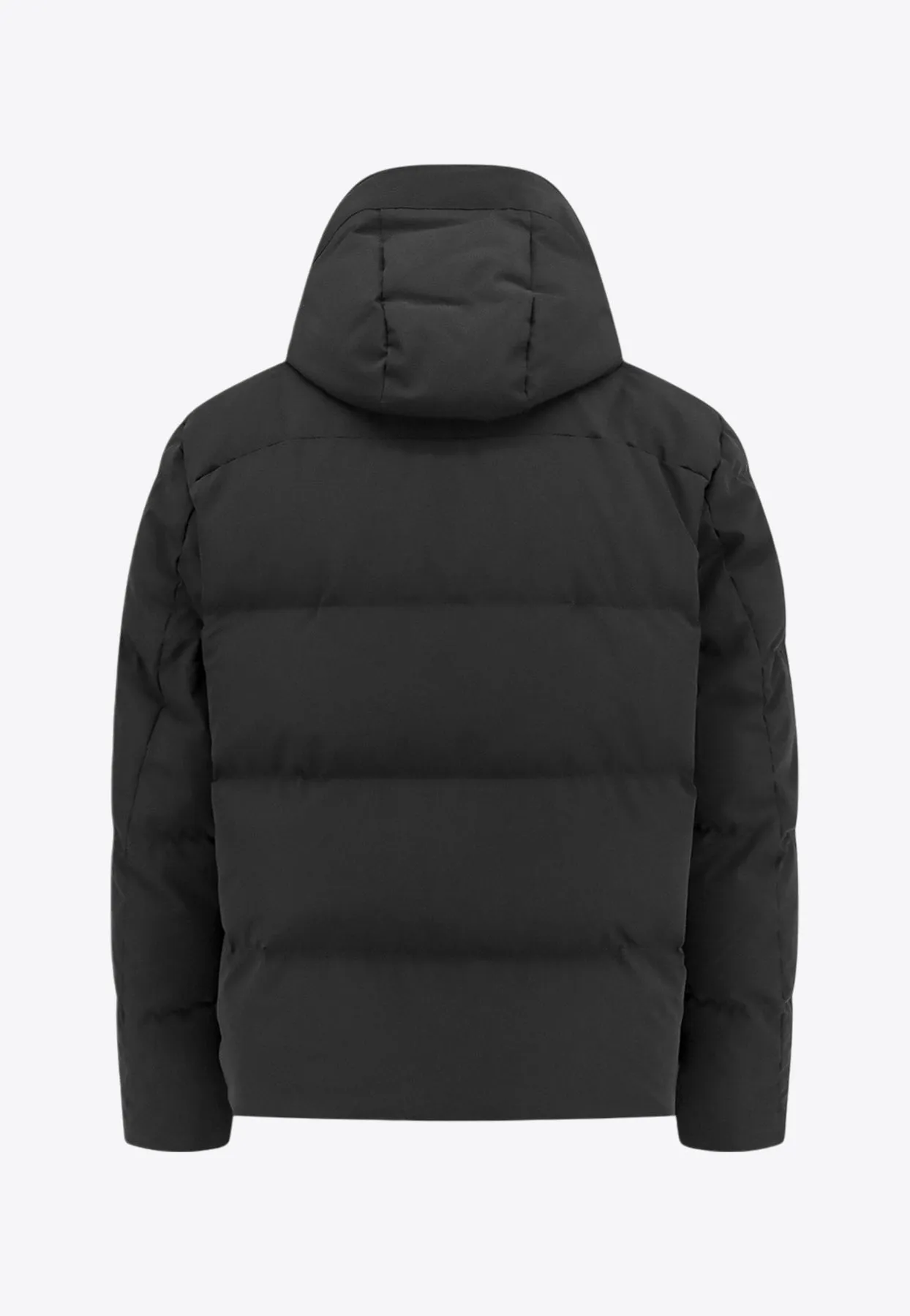 Quilted Puffer Jacket