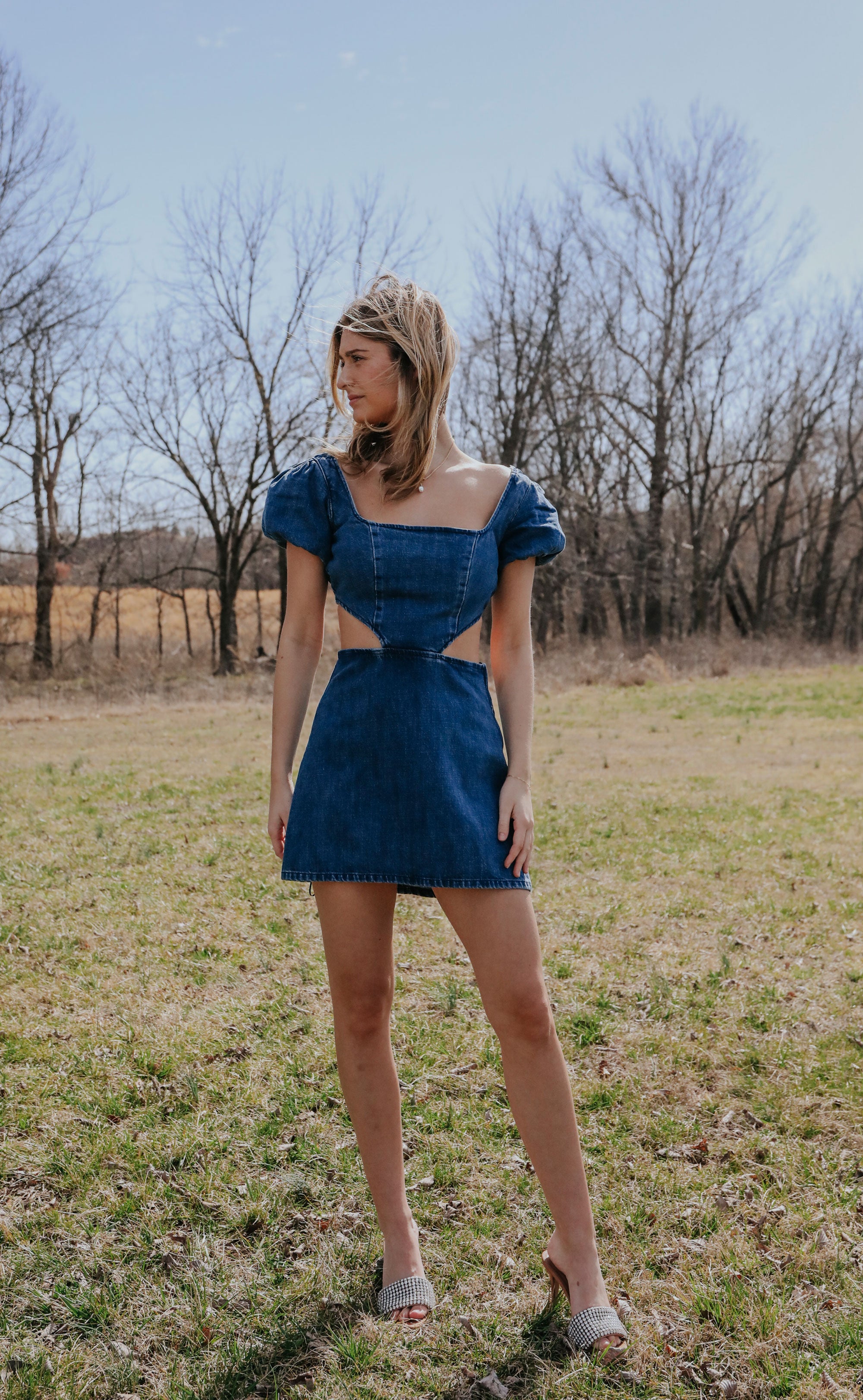 show me your mumu: city cut out dress