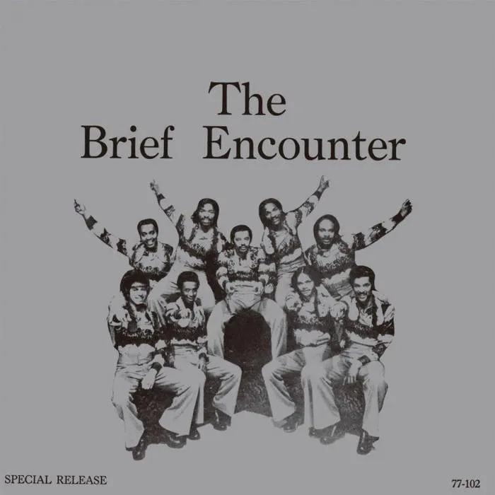 The Brief Encounter ~ The Brief Encounter