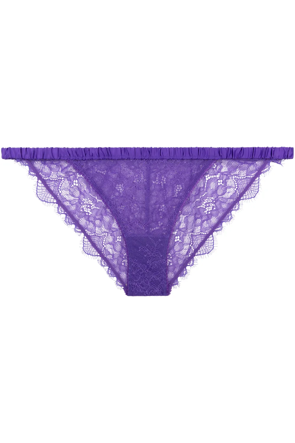 Wild Rose Brief