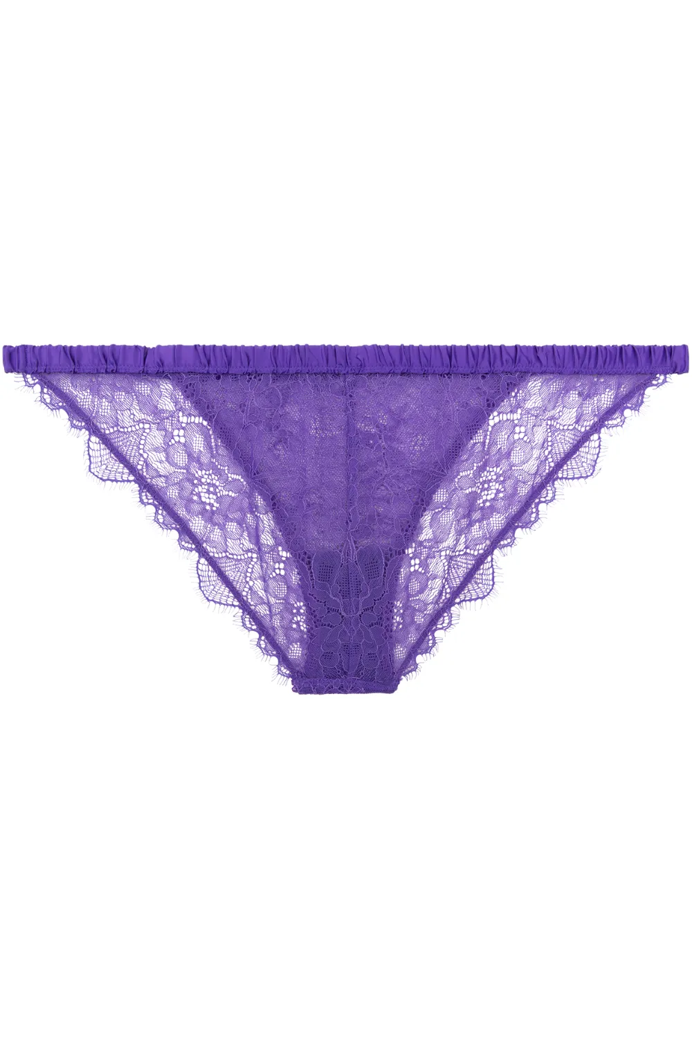 Wild Rose Brief