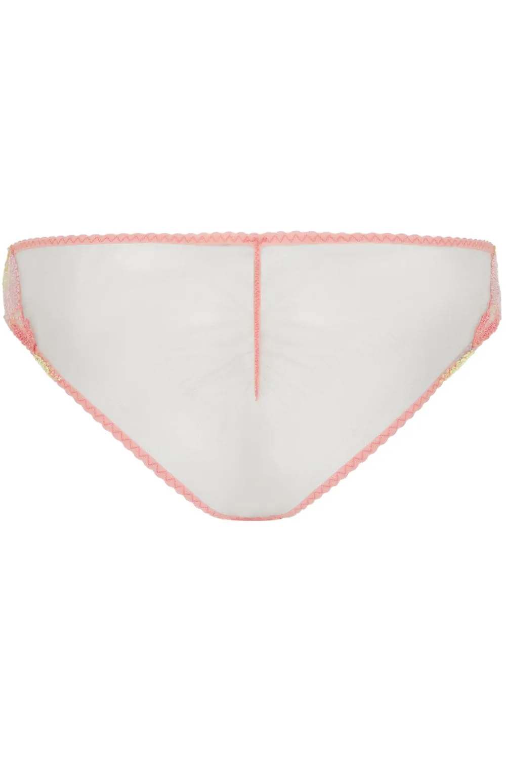 Zuri Brief